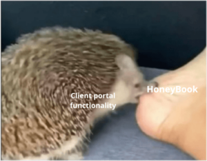 A meme saying that the client portal functionality is HoneyBook's Achilles heel